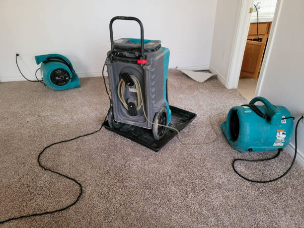 Best Water damage restoration cost  in Waukomis, OK