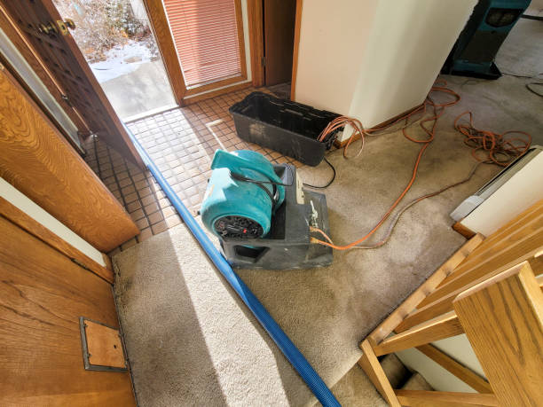 Best 24/7 water damage repair  in Waukomis, OK