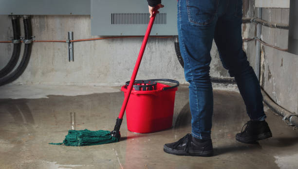 Best Mold removal after water damage  in Waukomis, OK