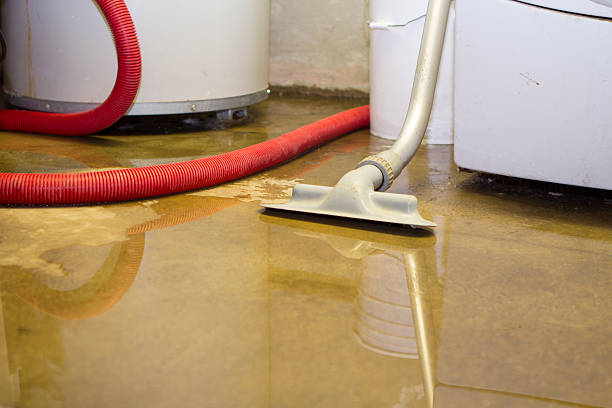 Best Mold removal after water damage  in Waukomis, OK