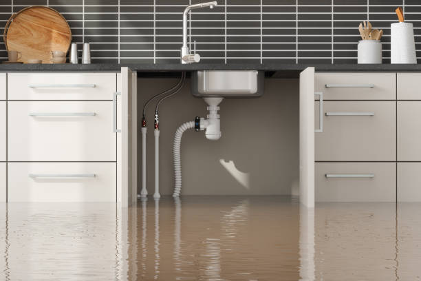 Best Flooded house restoration  in Waukomis, OK