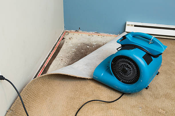 Best Water damage contractors near me  in Waukomis, OK